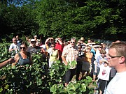 Dimanche JPV (14).jpg